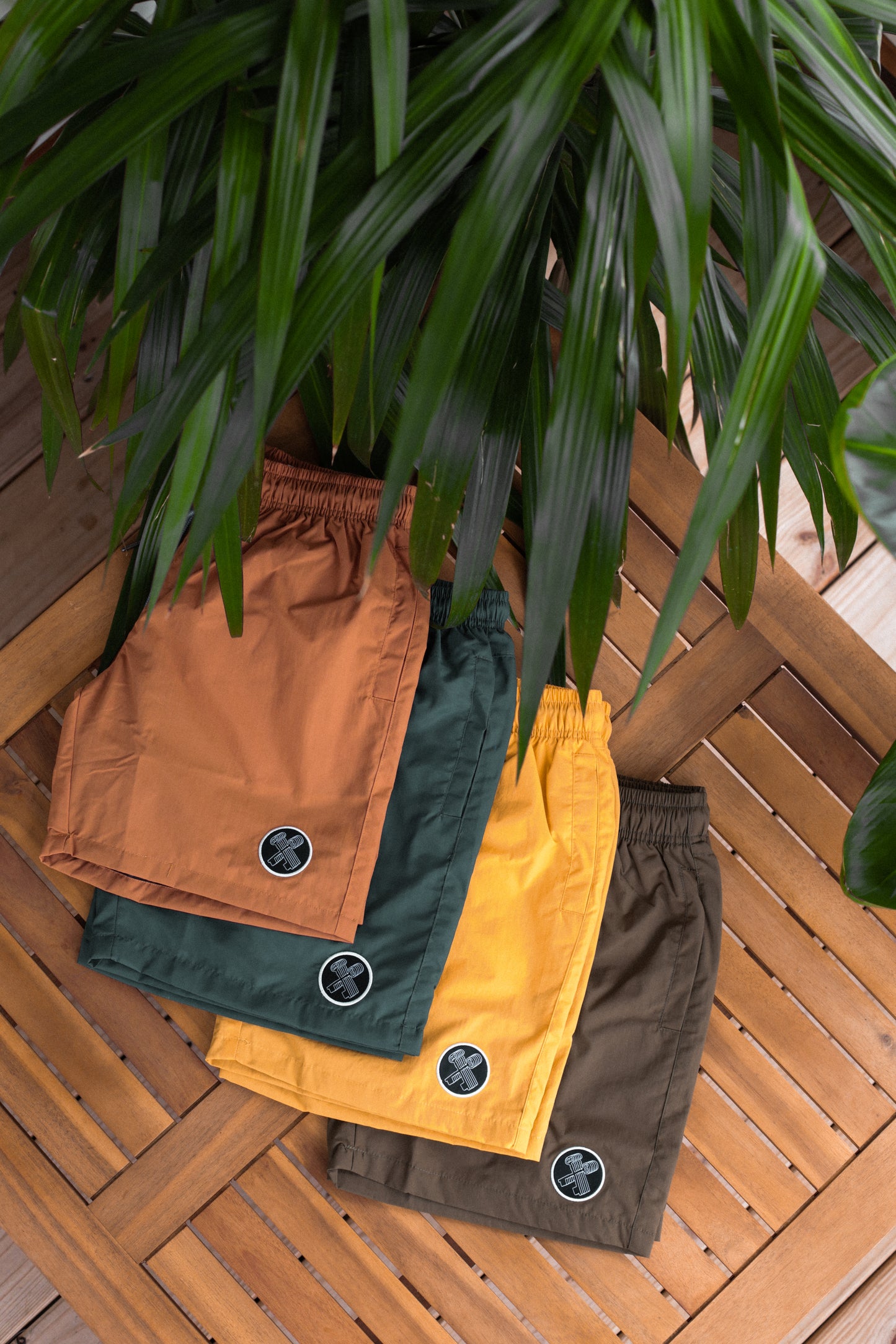 THE BEACH SHORTS