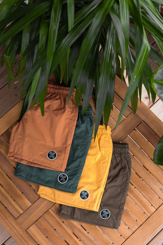 THE BEACH SHORTS