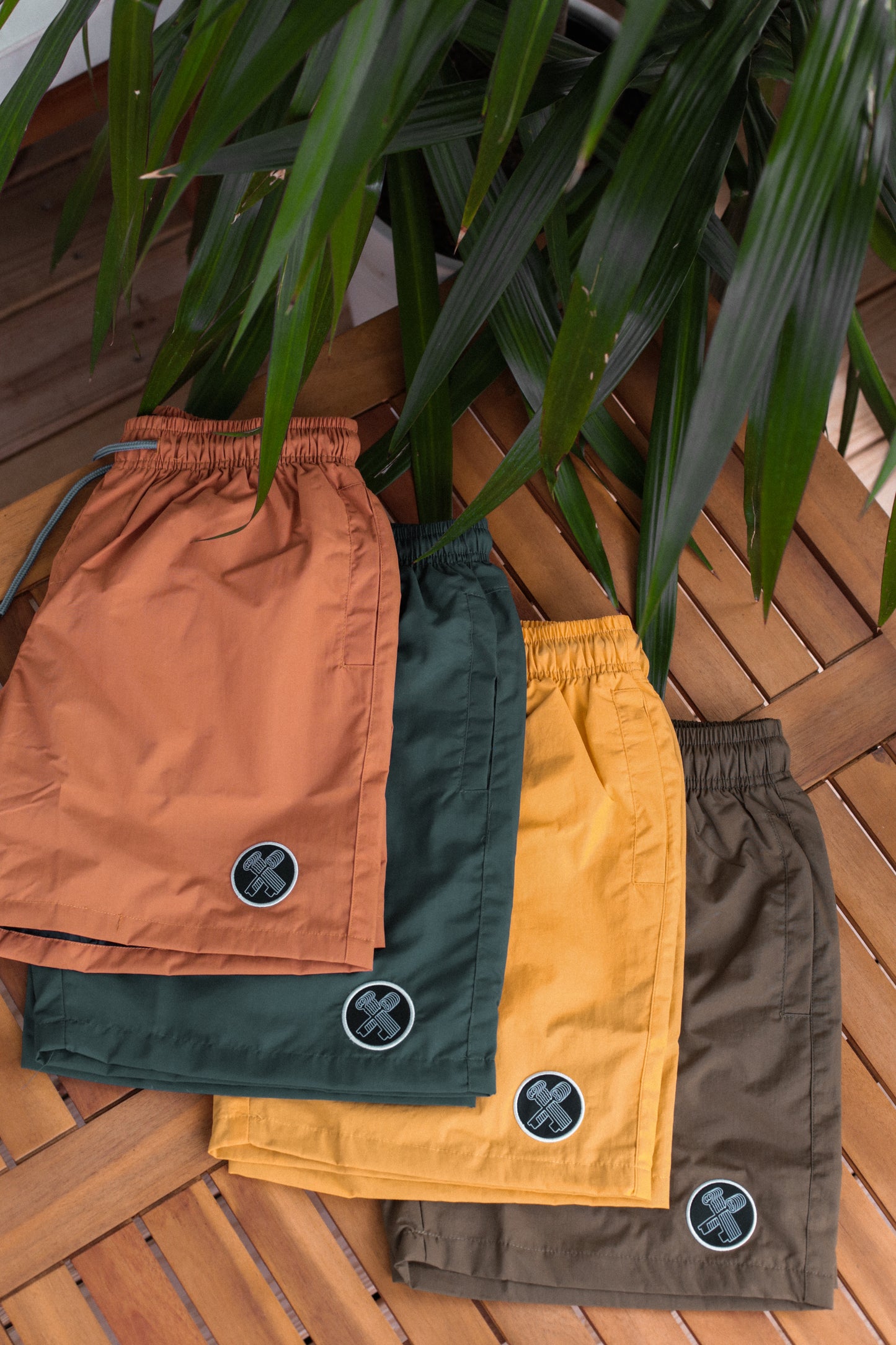 THE BEACH SHORTS