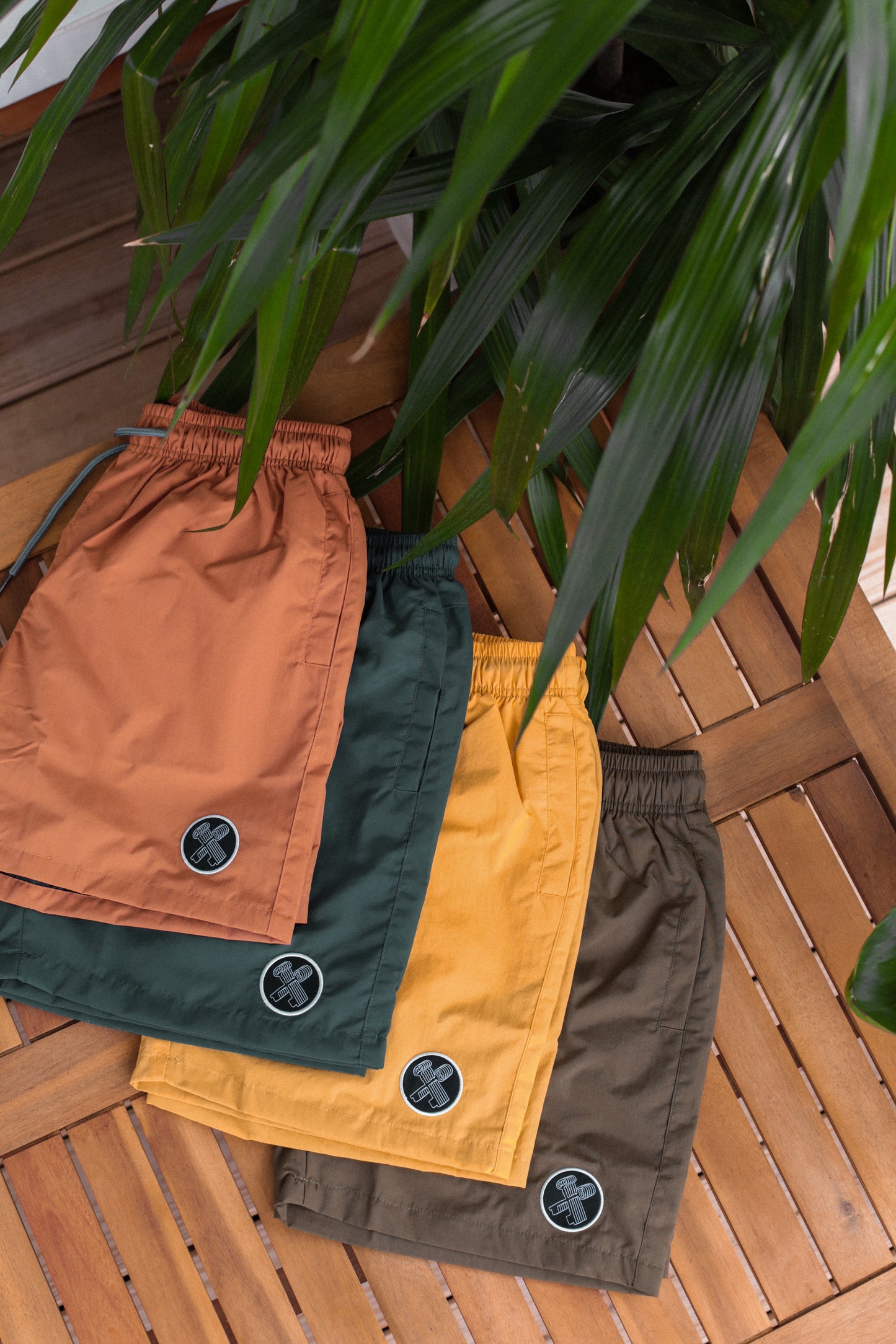THE BEACH SHORTS