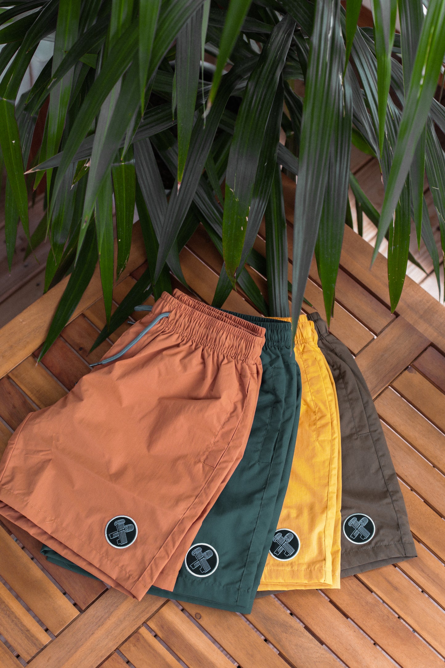 THE BEACH SHORTS