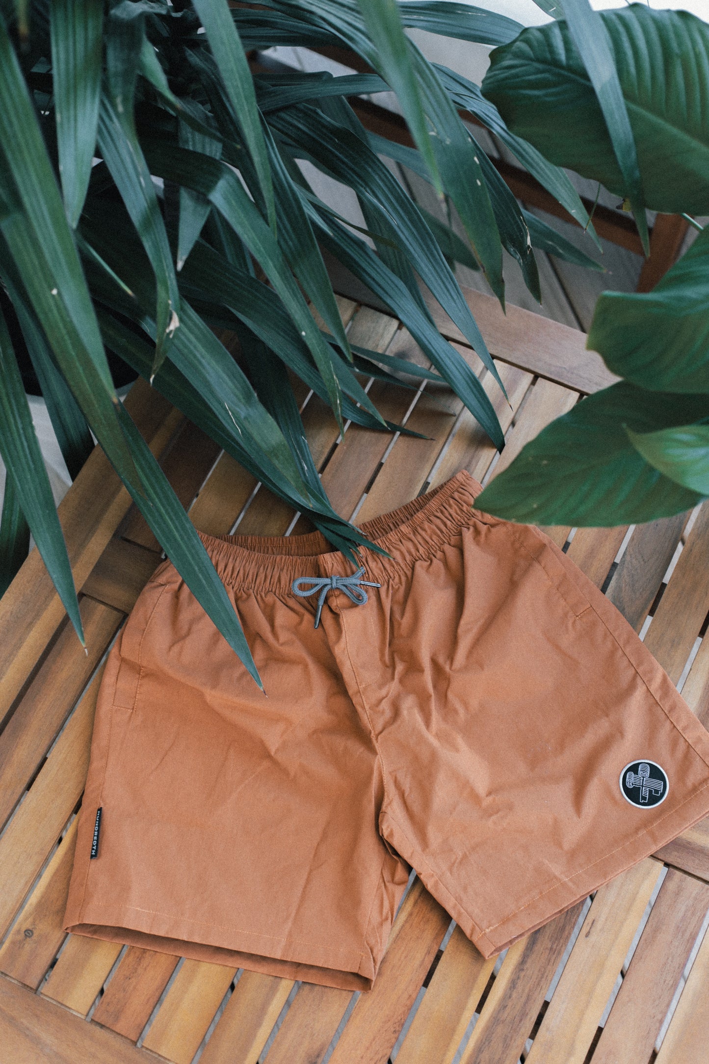 THE BEACH SHORTS