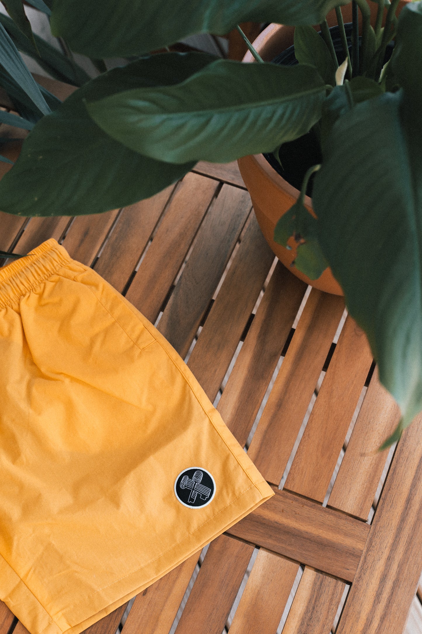 THE BEACH SHORTS